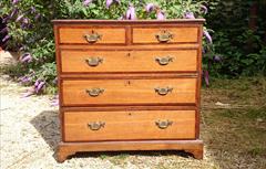 oak and mahogany antique chest of drawers1.jpg